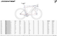 Pinarello Dogma F Disc Red AXS Mavic