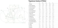 Cannondale Topstone Carbon 3