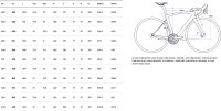 Pinarello Dogma X Record WRL 13