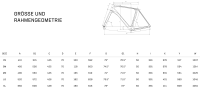 Bianchi Impulso Pro GRX 820 2x12