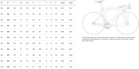 Pinarello Dogma F Super Record WRL Bora WTO 45