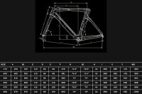 Bianchi Oltre RC Team Replica