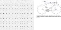 Pinarello New Dogma X Dura-Ace Di2 Princeton