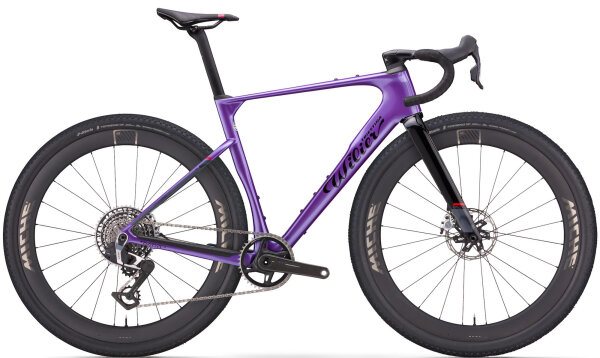 Neon Purple